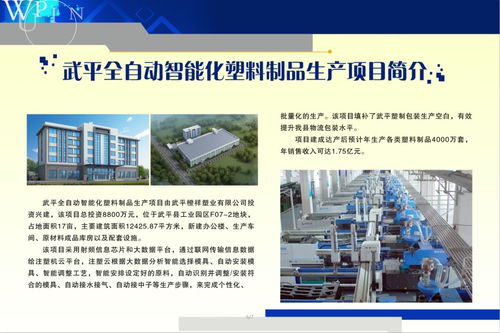 武平13個項目集中開竣工 涉及民生事業 智能制造 文化旅游等領域