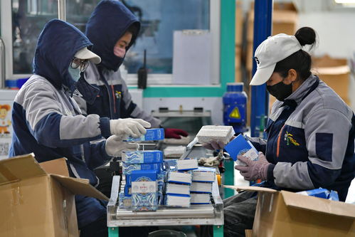 珠峰腳下爭朝夕 西藏日喀則產業扶貧見成效